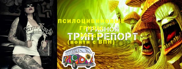 герыч Корсаков
