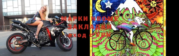 стафф Козловка