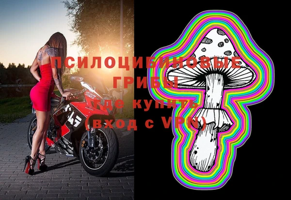 стафф Козловка