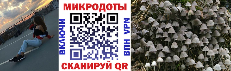 сколько стоит  Сосновый Бор  Галлюциногенные грибы MAGIC MUSHROOMS 